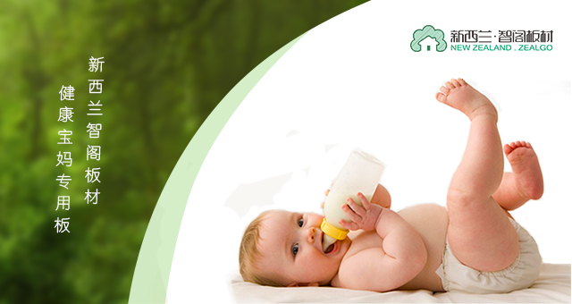 新西兰zoty中欧板材开启培训班