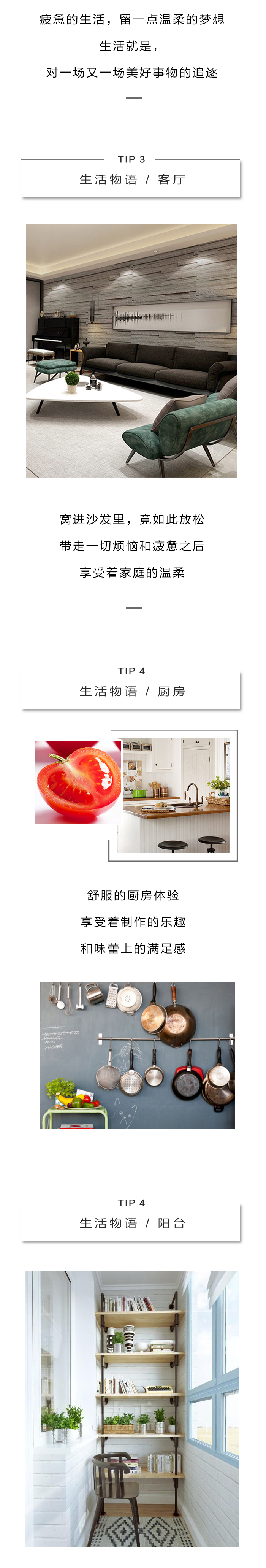 新西兰zoty中欧板材