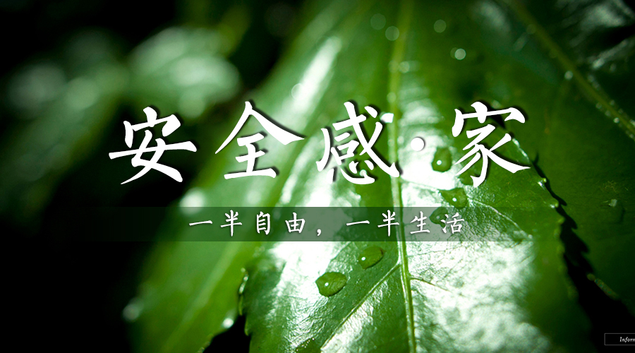 新西兰zoty中欧板材让你住个有安全感的家