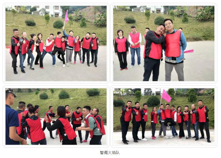 新西兰zoty中欧板材