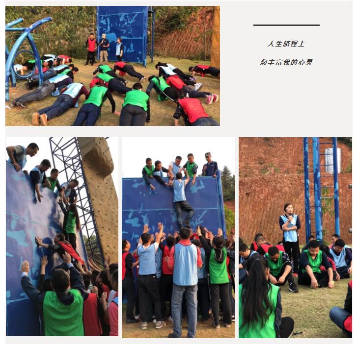 新西兰zoty中欧板材