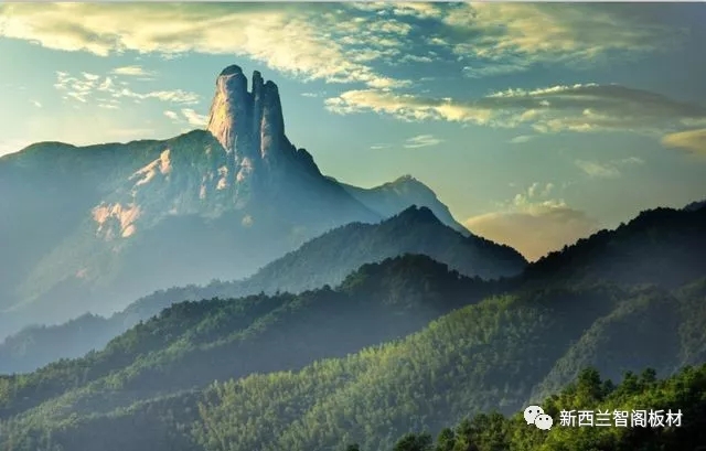 新西兰zoty中欧板材