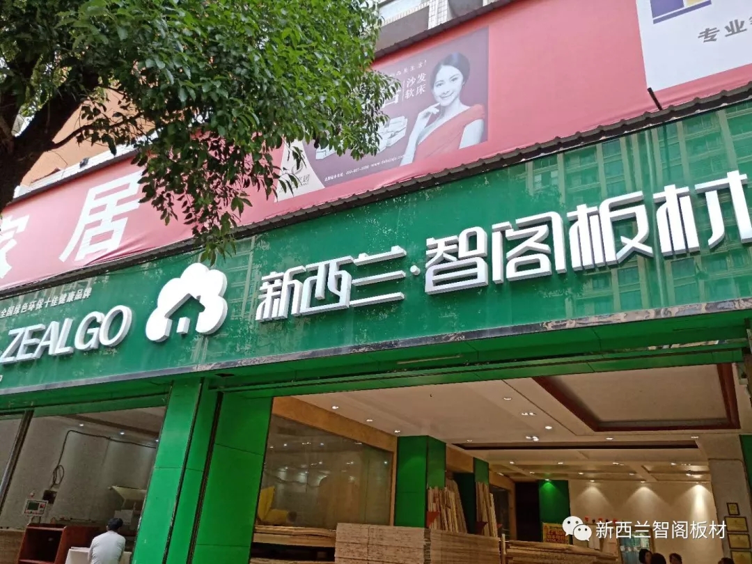 新西兰zoty中欧板材